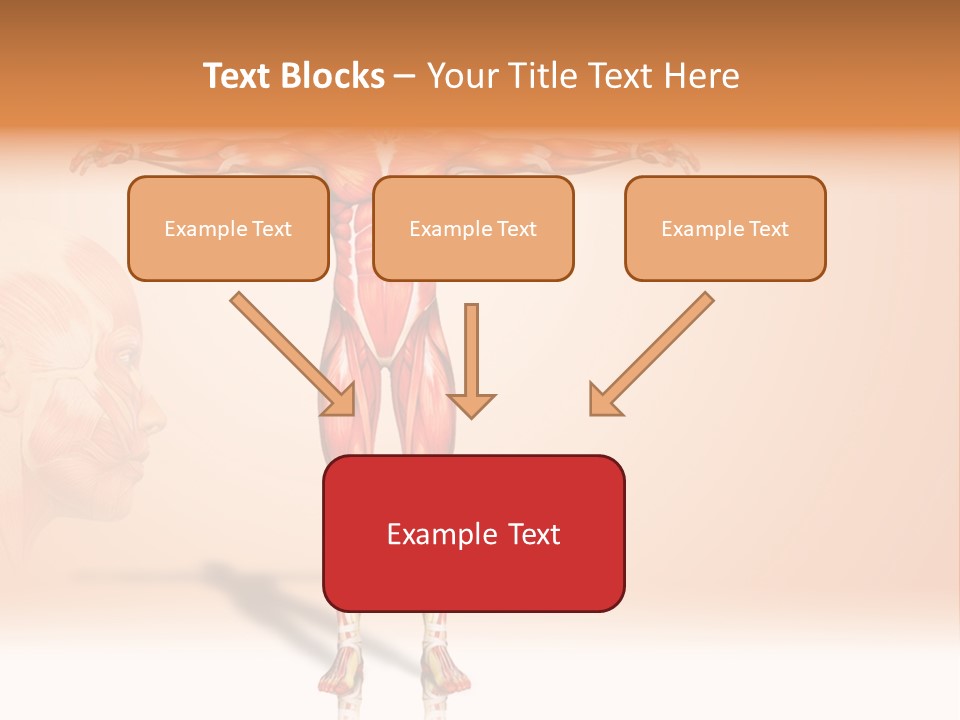 Naked Biology Human PowerPoint Template
