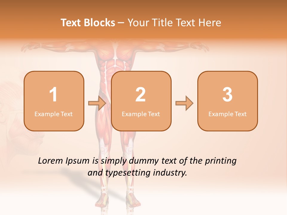 Naked Biology Human PowerPoint Template