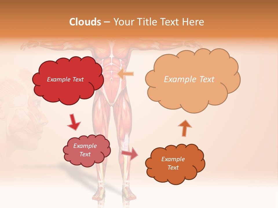 Naked Biology Human PowerPoint Template