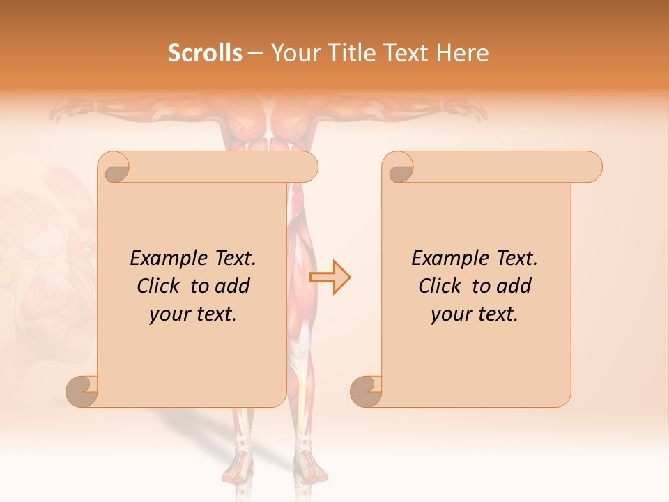 Naked Biology Human PowerPoint Template