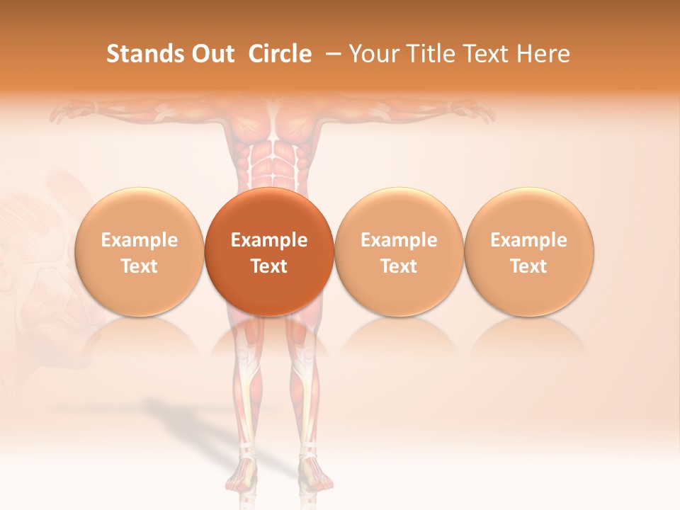 Naked Biology Human PowerPoint Template