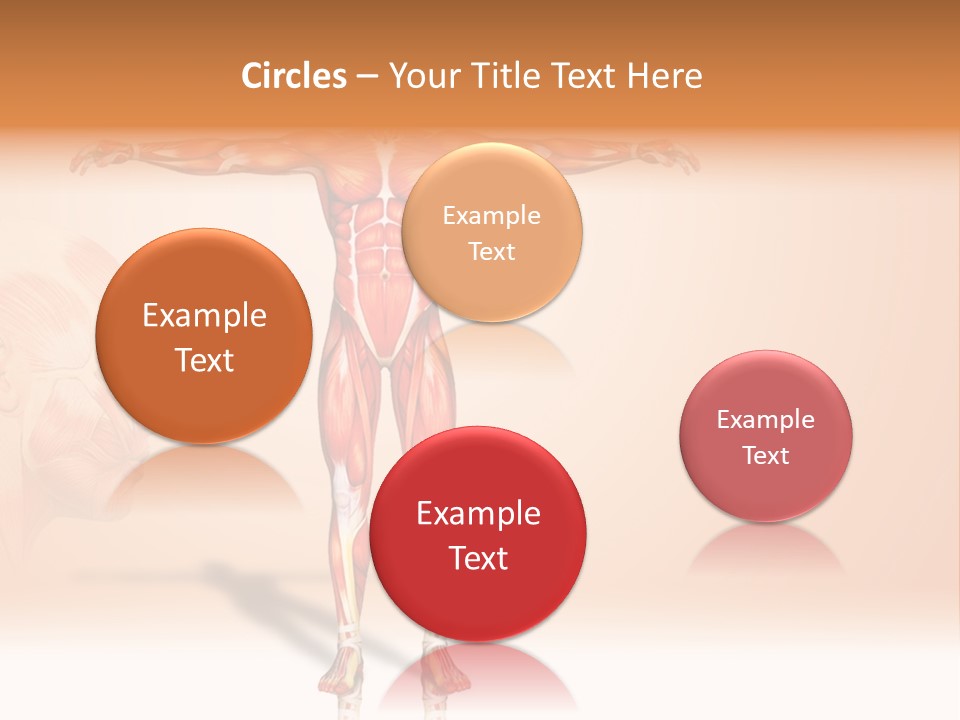 Naked Biology Human PowerPoint Template