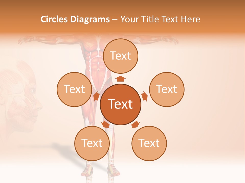 Naked Biology Human PowerPoint Template