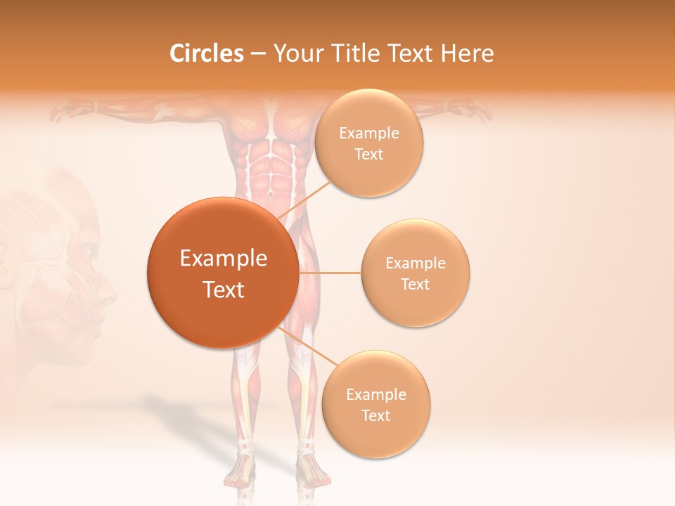 Naked Biology Human PowerPoint Template