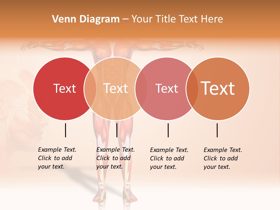 Naked Biology Human PowerPoint Template