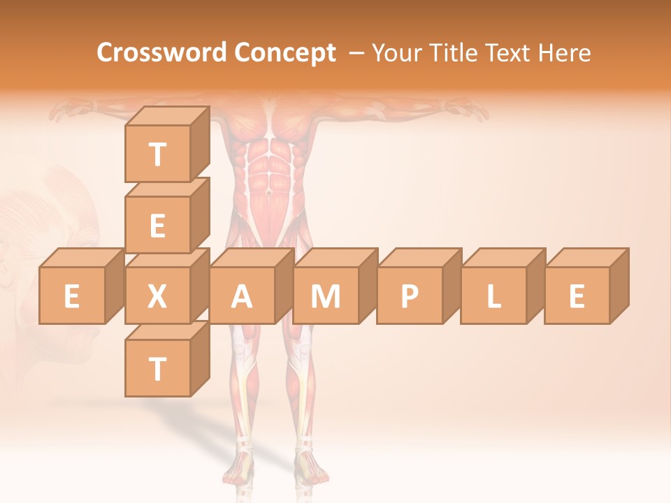 Naked Biology Human PowerPoint Template