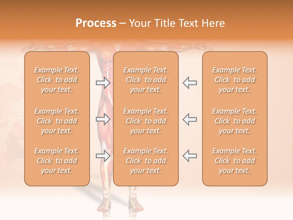 Naked Biology Human PowerPoint Template