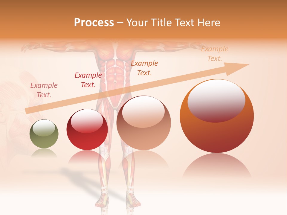 Naked Biology Human PowerPoint Template