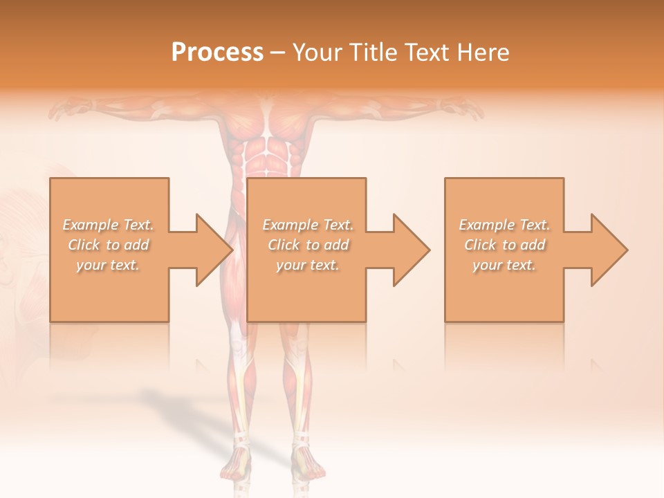 Naked Biology Human PowerPoint Template