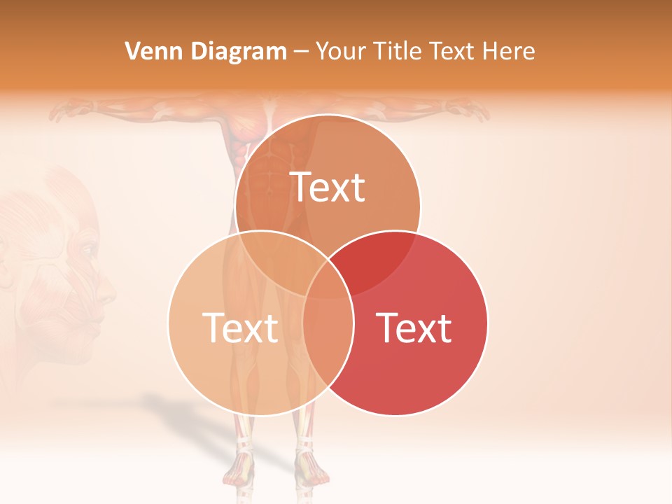 Naked Biology Human PowerPoint Template