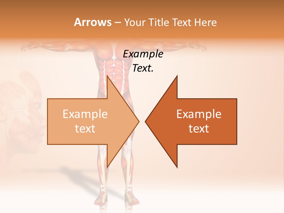 Naked Biology Human PowerPoint Template