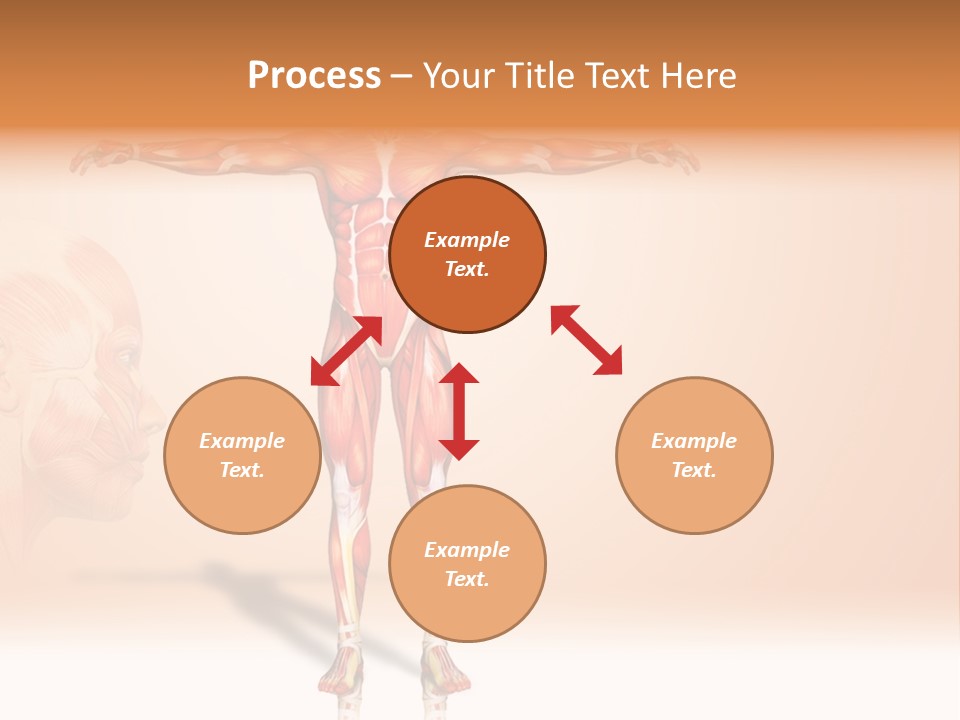 Naked Biology Human PowerPoint Template