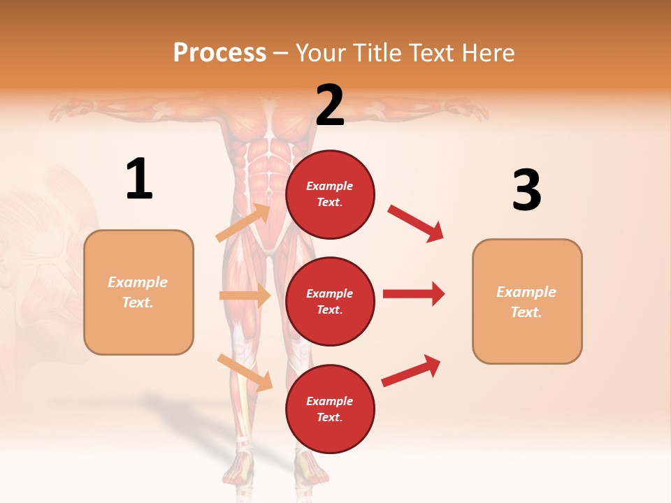 Naked Biology Human PowerPoint Template