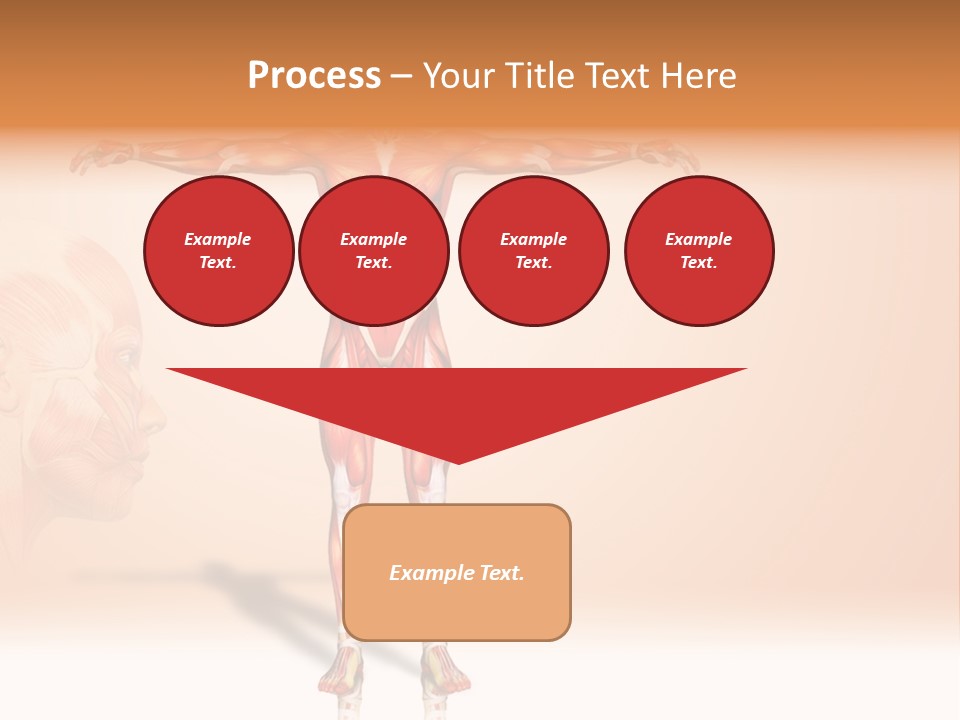 Naked Biology Human PowerPoint Template