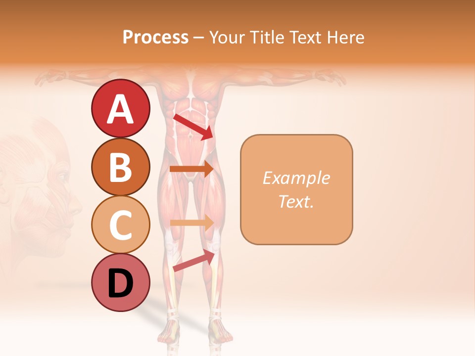 Naked Biology Human PowerPoint Template