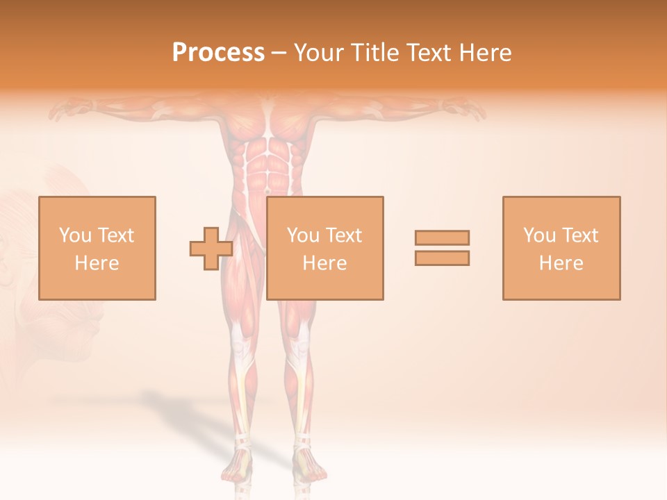 Naked Biology Human PowerPoint Template