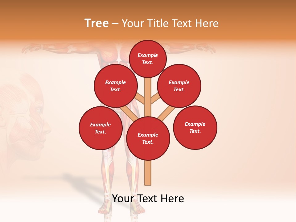 Naked Biology Human PowerPoint Template