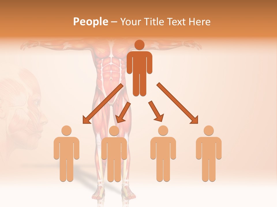 Naked Biology Human PowerPoint Template