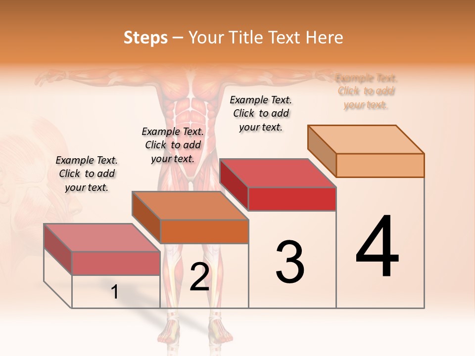Naked Biology Human PowerPoint Template