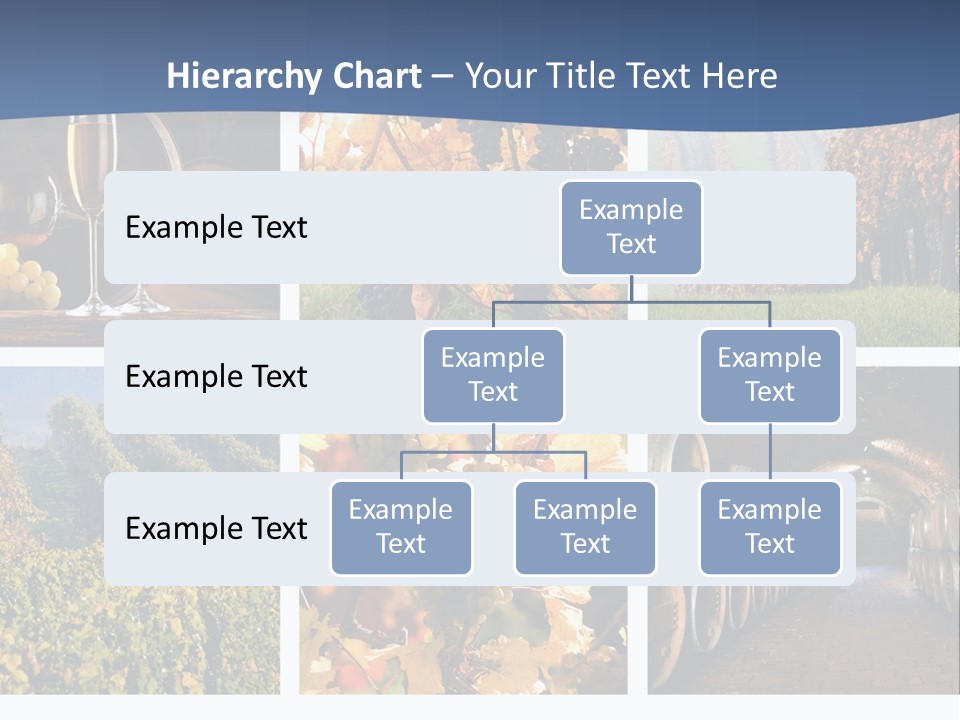 Barrel Hill Wine PowerPoint Template