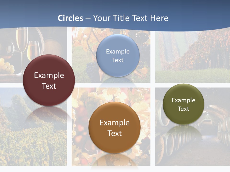 Barrel Hill Wine PowerPoint Template