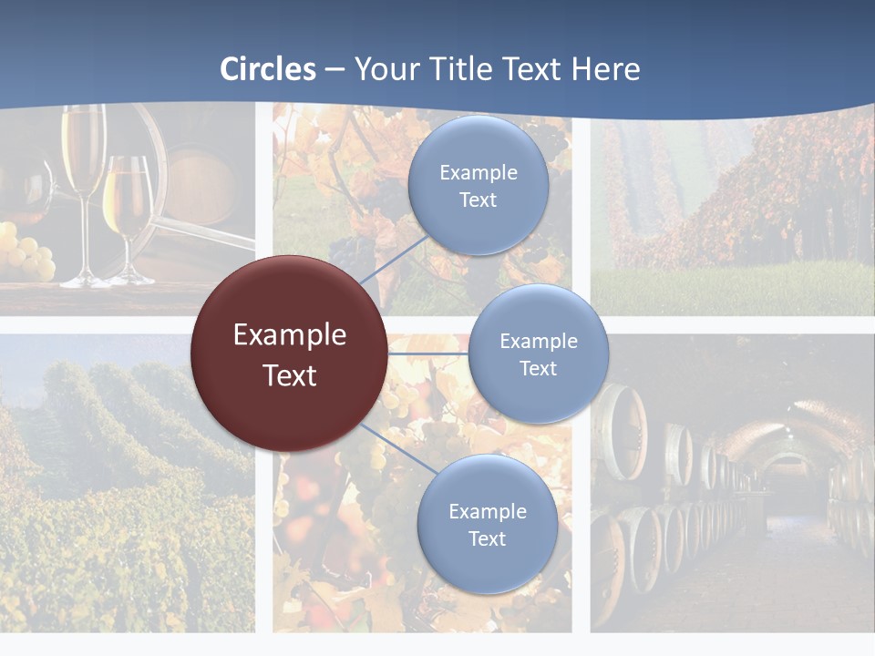 Barrel Hill Wine PowerPoint Template