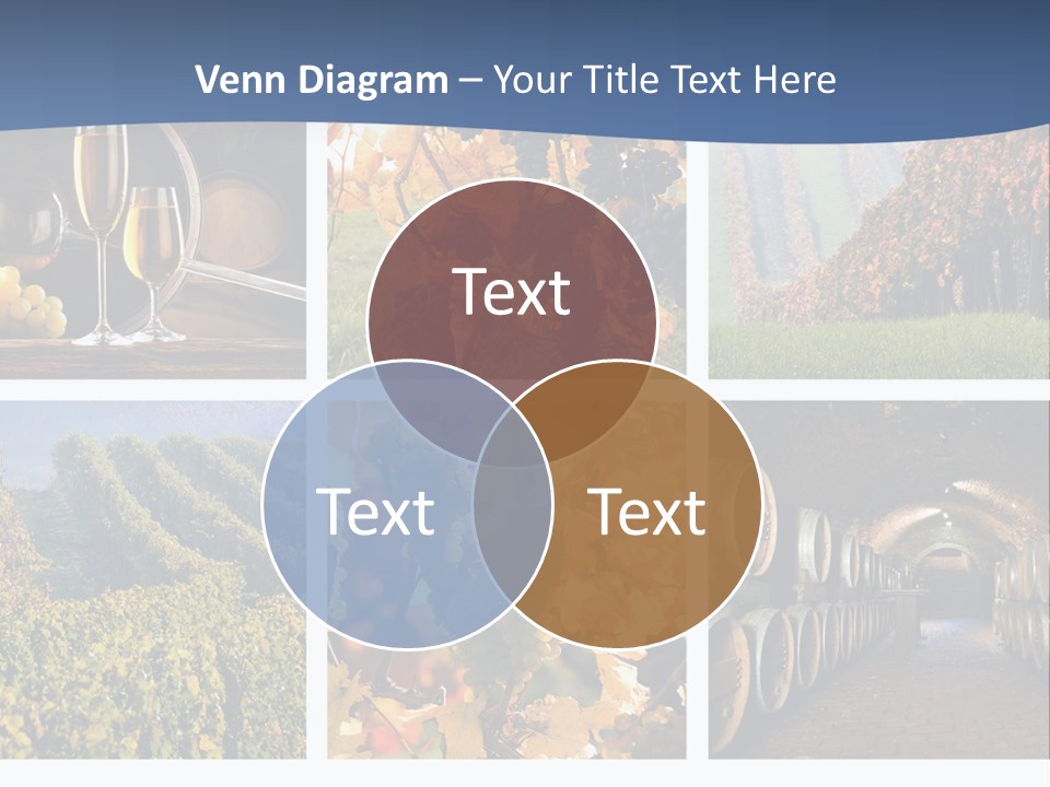 Barrel Hill Wine PowerPoint Template