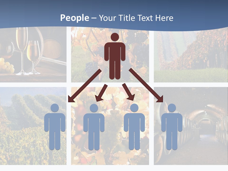 Barrel Hill Wine PowerPoint Template