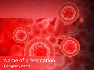 Team Li Ten Bu Ine PowerPoint Template