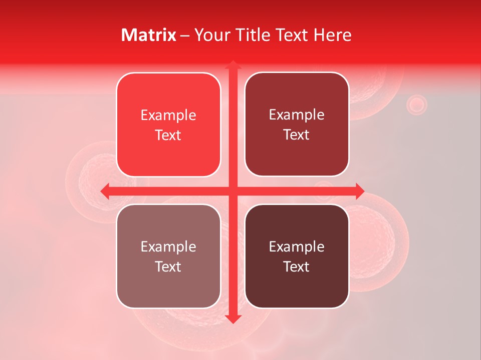 Team Li Ten Bu Ine PowerPoint Template