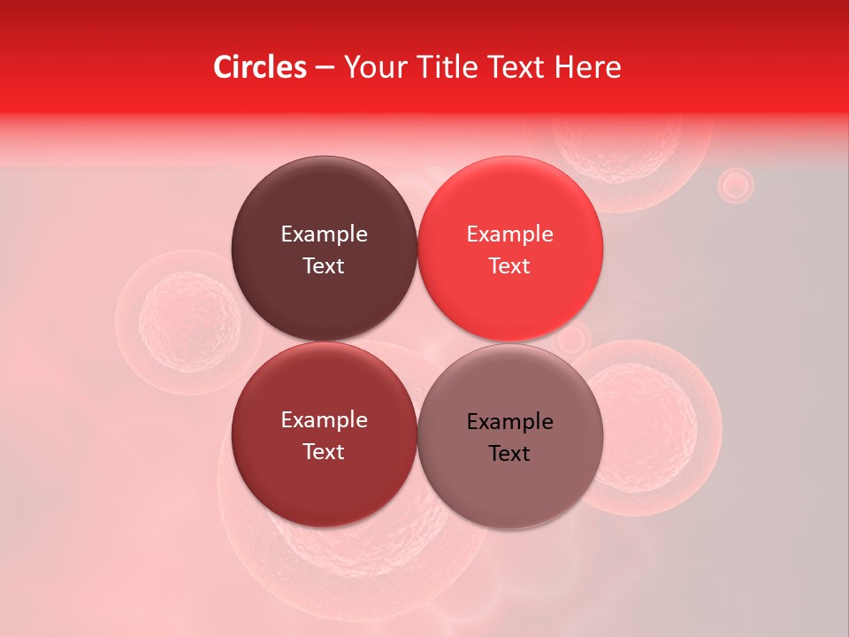 Team Li Ten Bu Ine PowerPoint Template