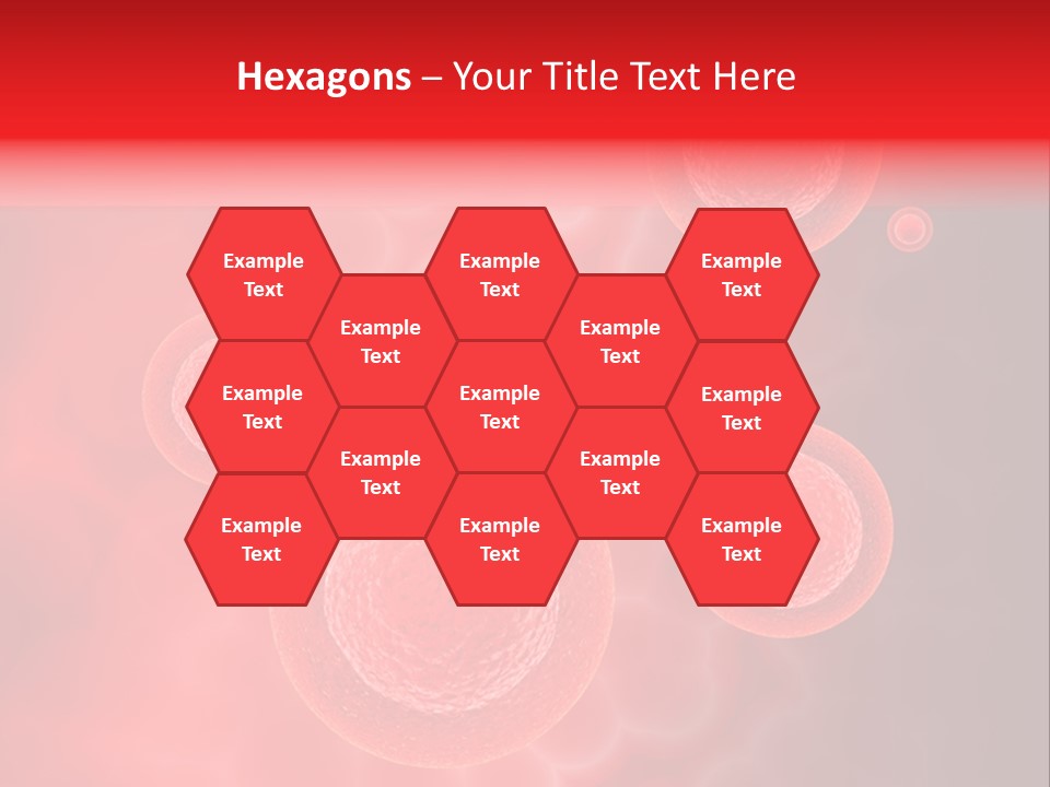 Team Li Ten Bu Ine PowerPoint Template