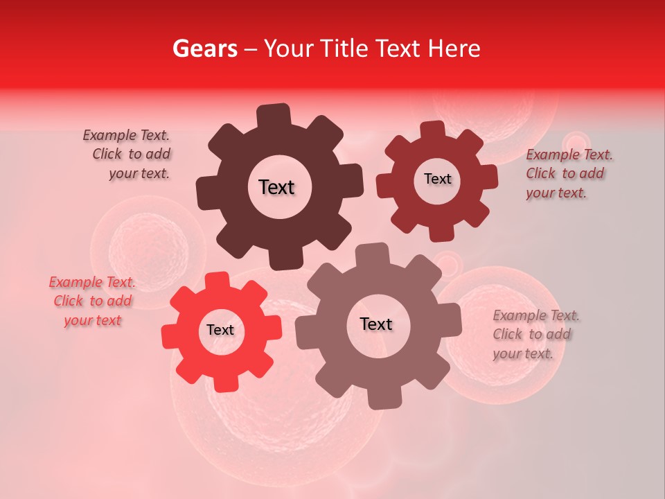 Team Li Ten Bu Ine PowerPoint Template