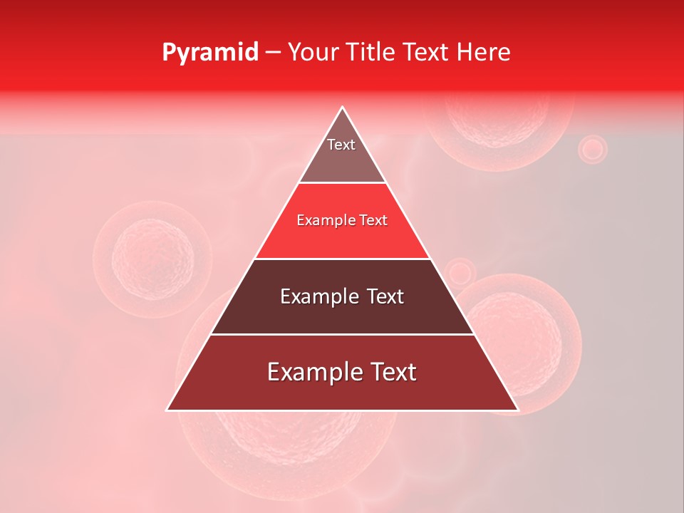 Team Li Ten Bu Ine PowerPoint Template