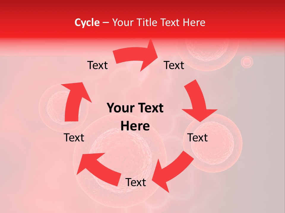 Team Li Ten Bu Ine PowerPoint Template