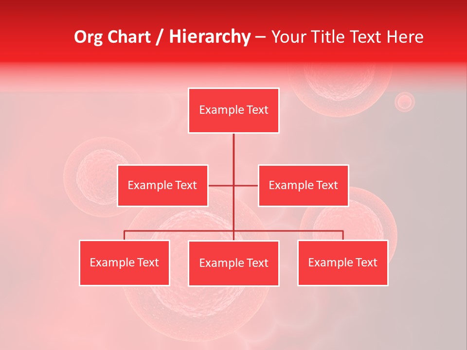 Team Li Ten Bu Ine PowerPoint Template