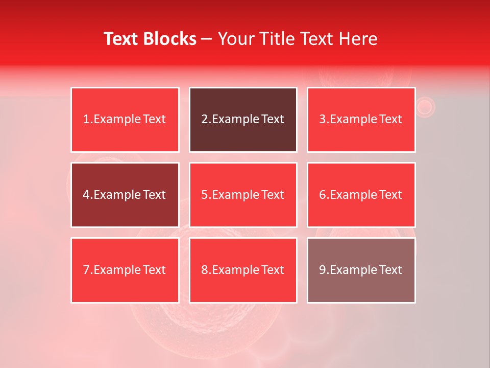 Team Li Ten Bu Ine PowerPoint Template