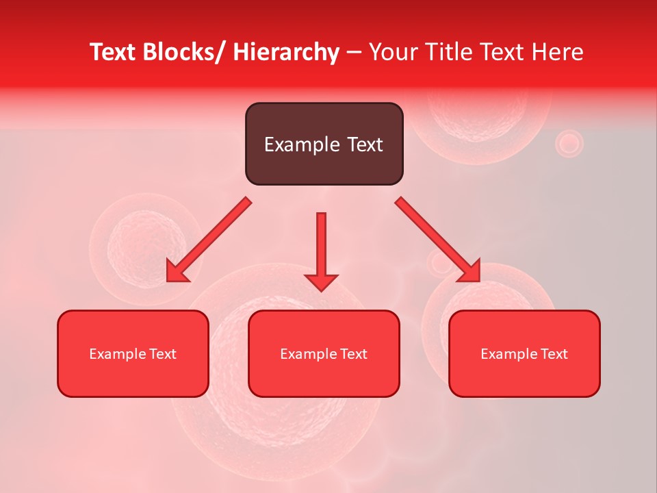 Team Li Ten Bu Ine PowerPoint Template