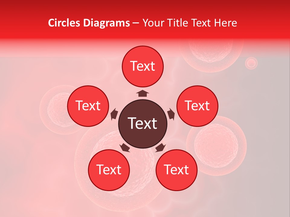 Team Li Ten Bu Ine PowerPoint Template