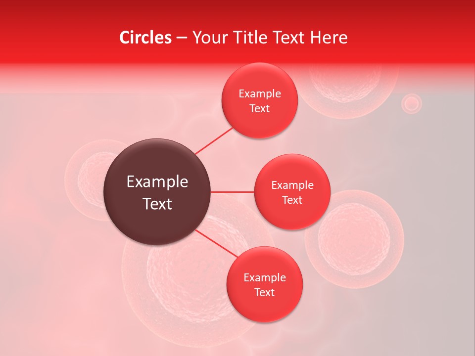 Team Li Ten Bu Ine PowerPoint Template