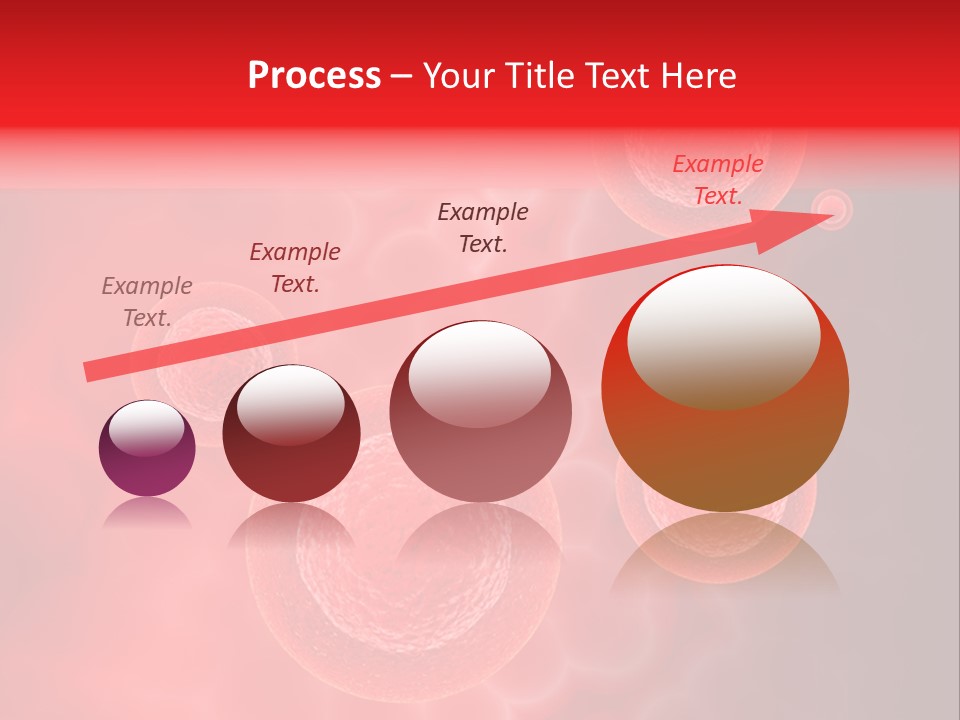 Team Li Ten Bu Ine PowerPoint Template