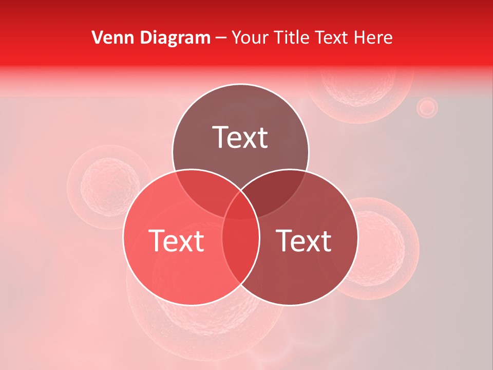 Team Li Ten Bu Ine PowerPoint Template