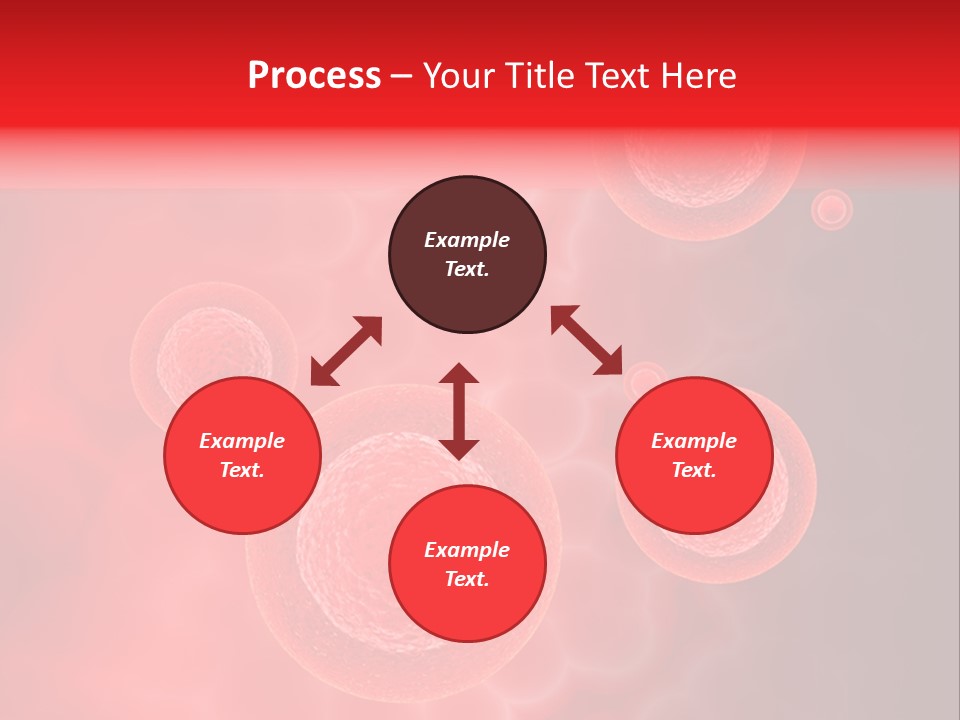 Team Li Ten Bu Ine PowerPoint Template