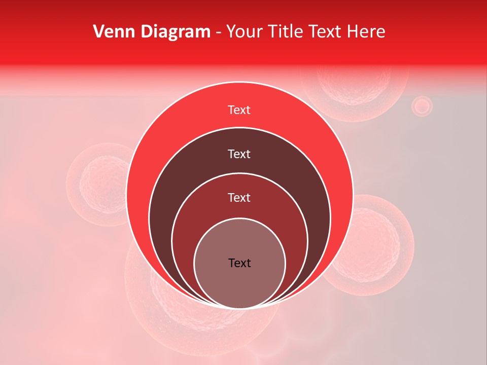 Team Li Ten Bu Ine PowerPoint Template