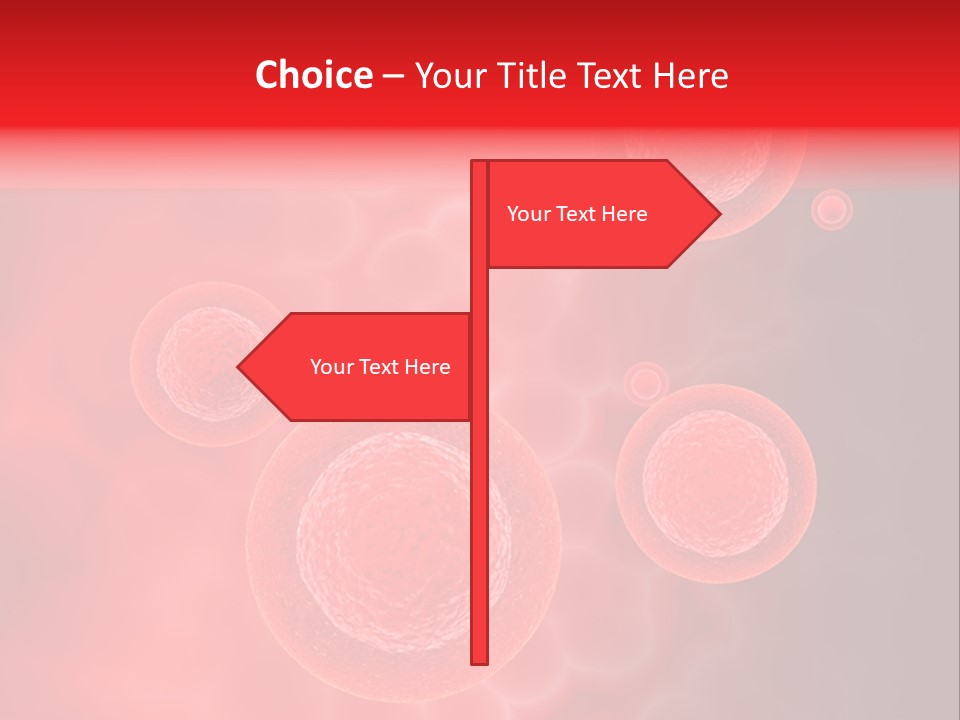 Team Li Ten Bu Ine PowerPoint Template