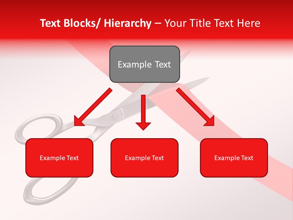 Contrasts Organization Render PowerPoint Template