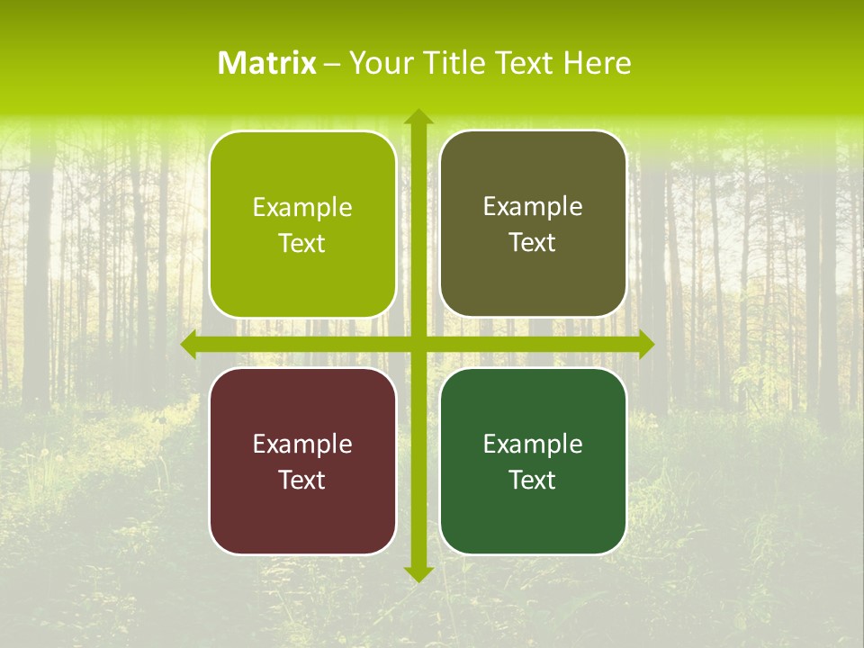 Forest Branch Leaves PowerPoint Template
