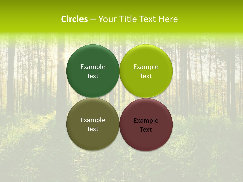 Forest Branch Leaves PowerPoint Template