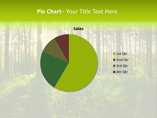 Forest Branch Leaves PowerPoint Template