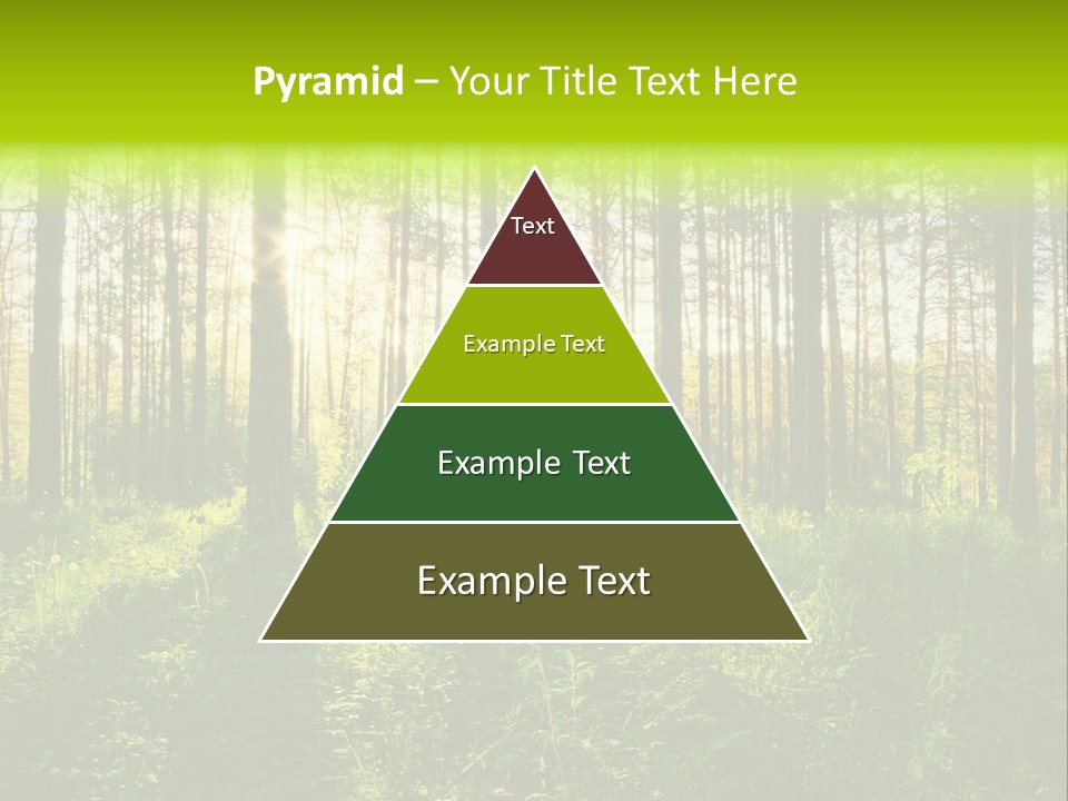 Forest Branch Leaves PowerPoint Template